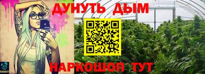 стаф Пенза