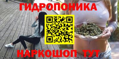 стаф Пенза