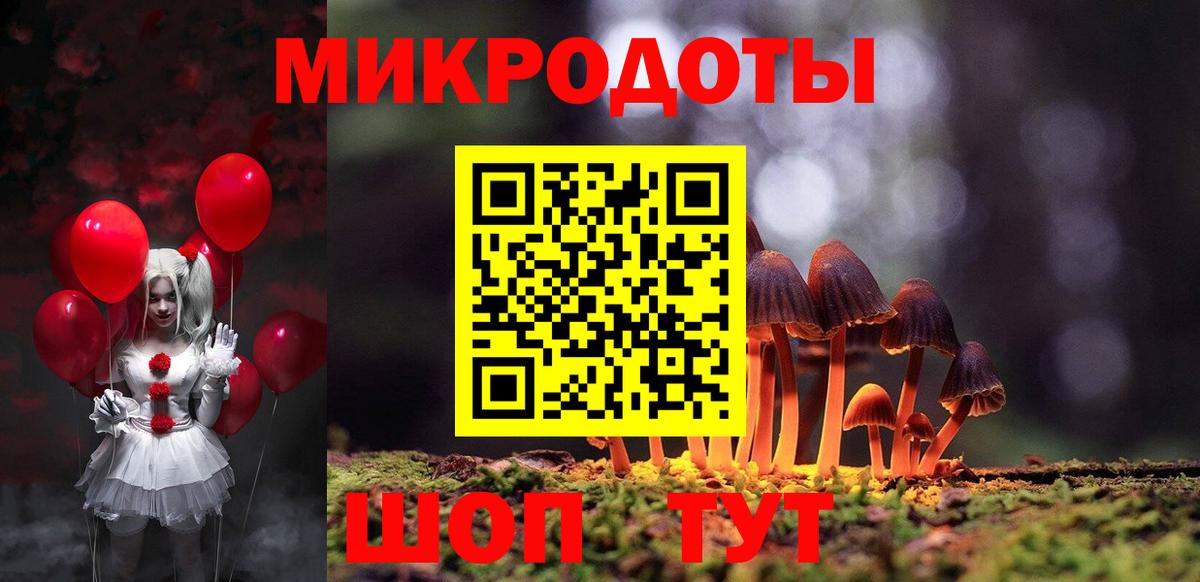 Псилоцибиновые грибы Cubensis Сочи